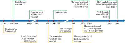 Treatment of extranodal NK/T-cell lymphoma: From past to future